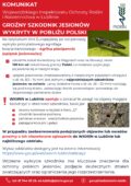 Miniaturka wpisu Groźny szkodnik jesionów wykryty w pobliżu Polski